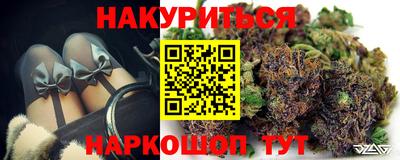 гашик Тула
