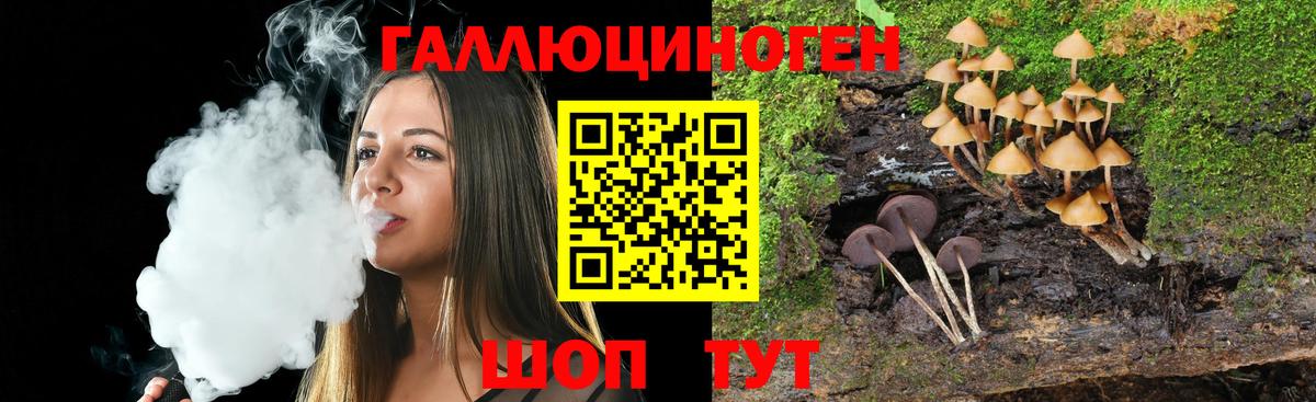 Псилоцибиновые грибы Magic Shrooms  Вход с VPN  Алексин  Псилоцибиновые грибы ЛСД 